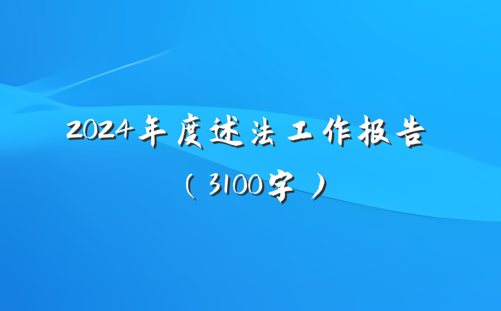2024年度述法工作报告（3100字）