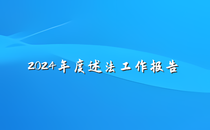 2024年度述法工作报告