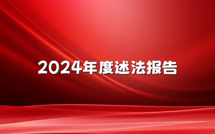 2024年度述法报告