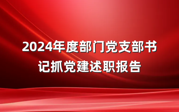 2024年度部门党支部书记抓党建述职报告