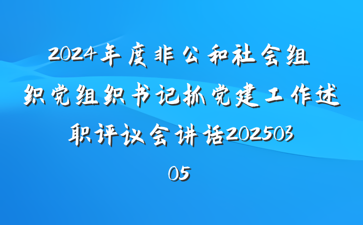 2024年度非公和社会组织党组织书记抓党建工作述职评议会讲话20250305