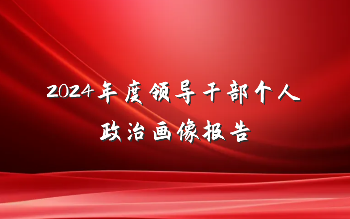2024年度领导干部个人政治画像报告