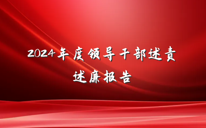 2024年度领导干部述责述廉报告