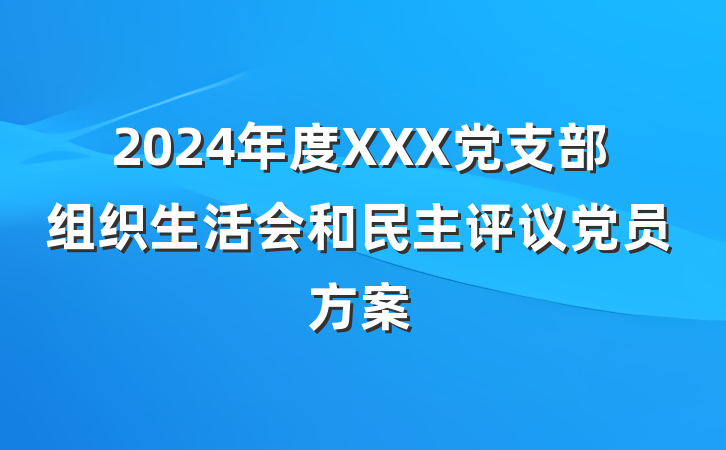 2024年度XXX党支部组织生活会和民主评议党员方案