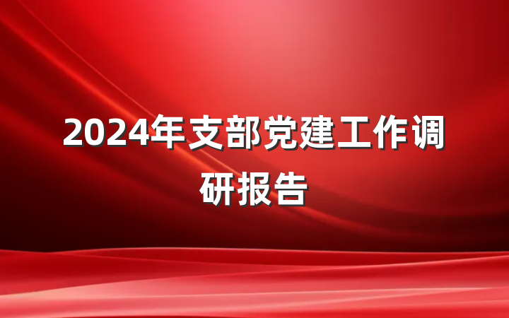 2024年支部党建工作调研报告
