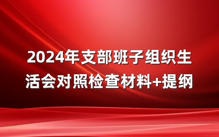 2024年支部班子组织生活会对照检查材料 提纲