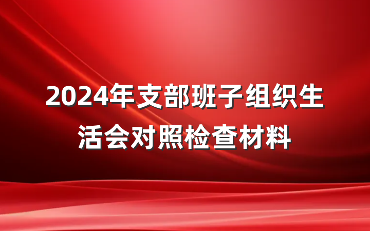 2024年支部班子组织生活会对照检查材料