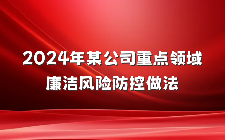 2024年某公司重点领域廉洁风险防控做法
