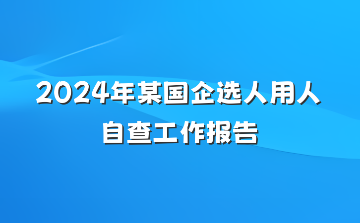 2024年某国企选人用人自查工作报告