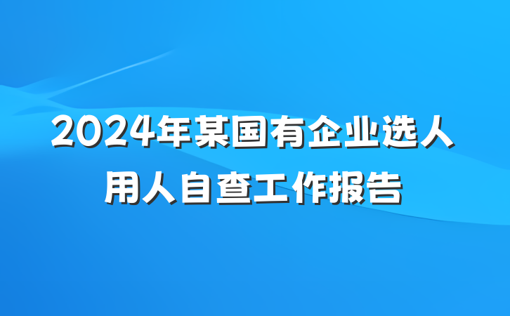 2024年某国有企业选人用人自查工作报告
