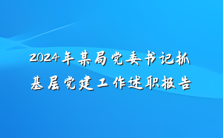 2024年某局党委书记抓基层党建工作述职报告