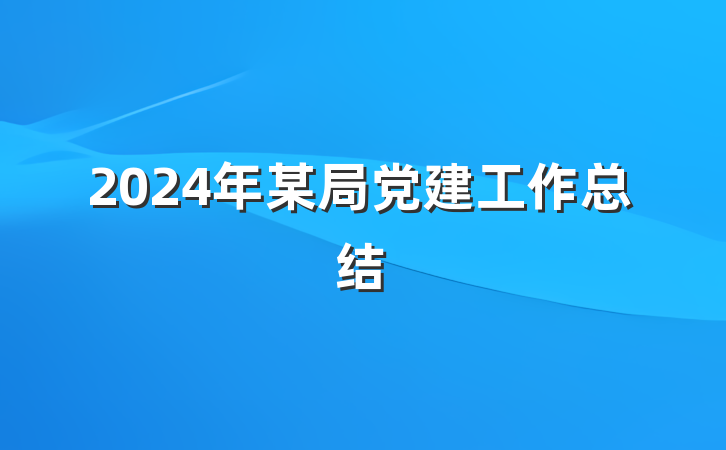 2024年某局党建工作总结