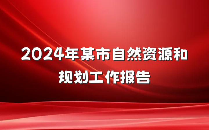 2024年某市自然资源和规划工作报告