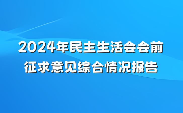 2024年民主生活会会前征求意见综合情况报告