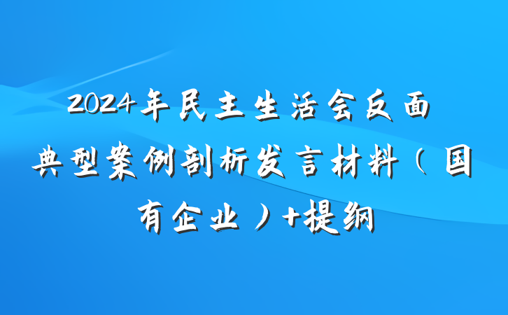 2024年民主生活会反面典型案例剖析发言材料（国有企业） 提纲