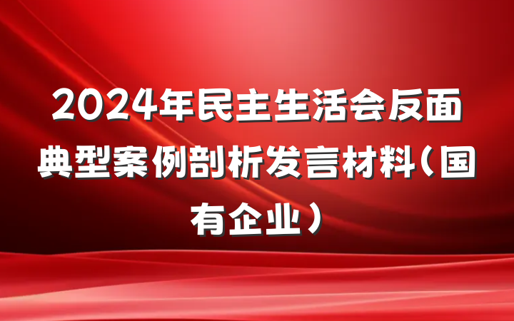 2024年民主生活会反面典型案例剖析发言材料（国有企业）
