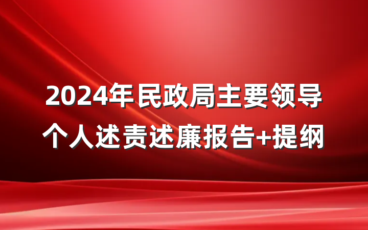 2024年民政局主要领导个人述责述廉报告 提纲