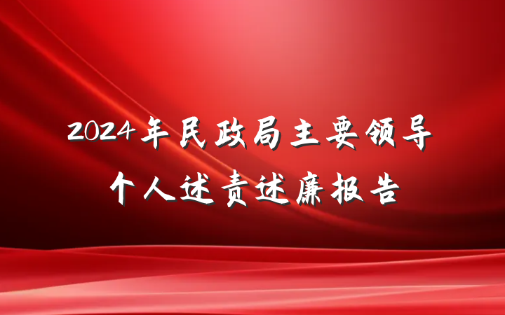 2024年民政局主要领导个人述责述廉报告