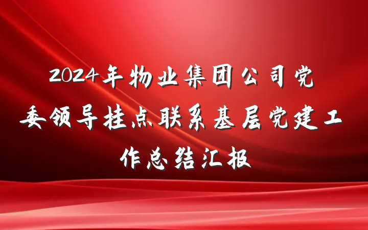 2024年物业集团公司党委领导挂点联系基层党建工作总结汇报