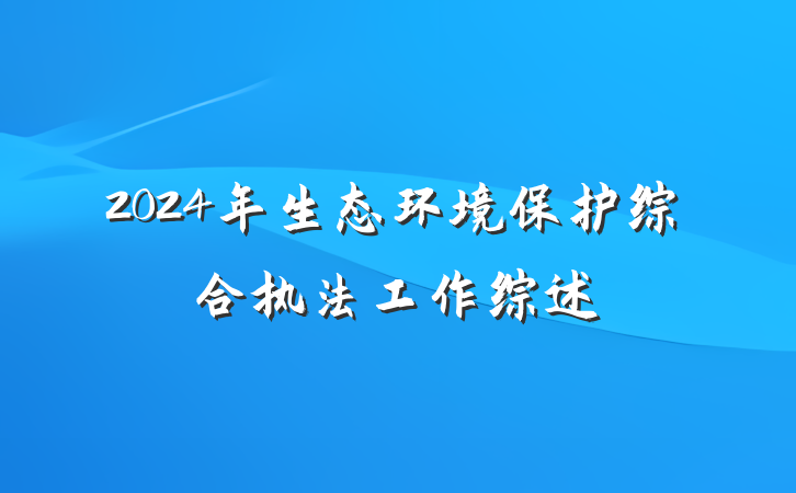 2024年生态环境保护综合执法工作综述