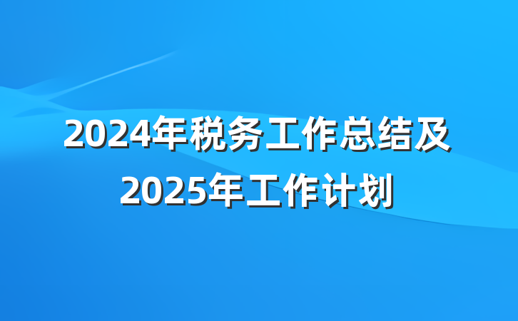 2024年税务工作总结及2025年工作计划