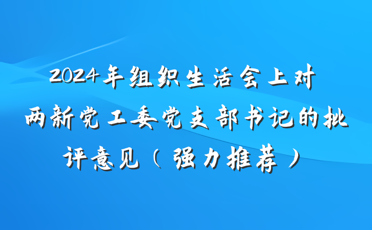 2024年组织生活会上对两新党工委党支部书记的批评意见(强力推荐)