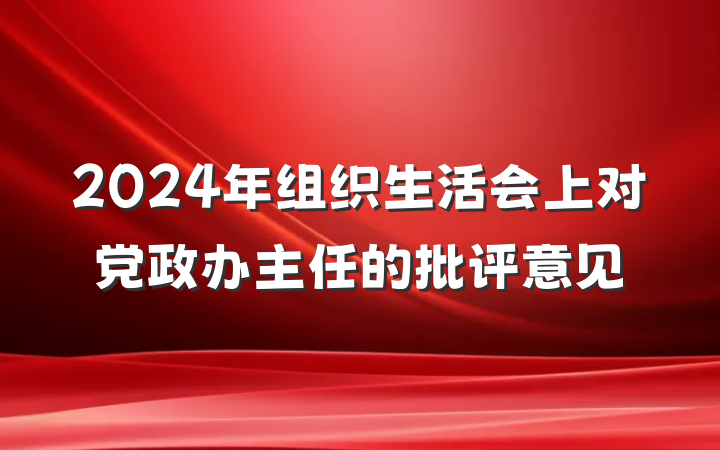 2024年组织生活会上对党政办主任的批评意见