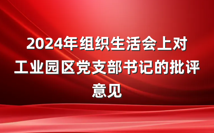 2024年组织生活会上对工业园区党支部书记的批评意见
