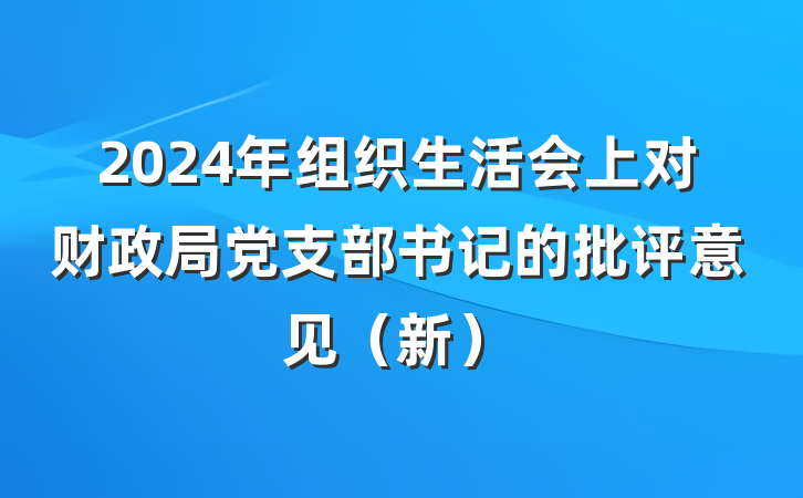 2024年组织生活会上对财政局党支部书记的批评意见（新）