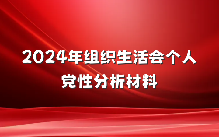 2024年组织生活会个人党性分析材料