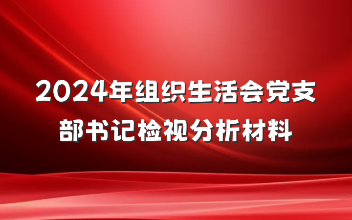 2024年组织生活会党支部书记检视分析材料