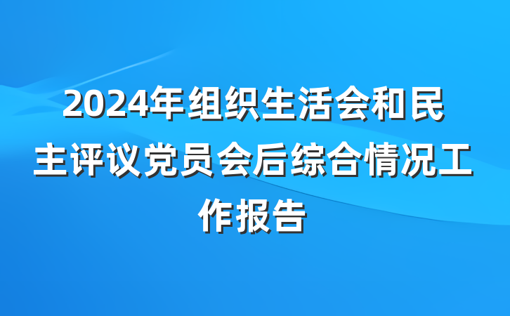 2024年组织生活会和民主评议党员会后综合情况工作报告