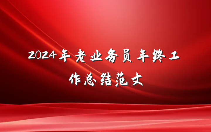 2024年老业务员年终工作总结范文
