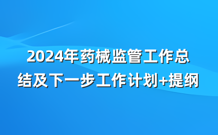 2024年药械监管工作总结及下一步工作计划 提纲