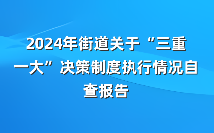 2024年街道关于“三重一大”决策制度执行情况自查报告