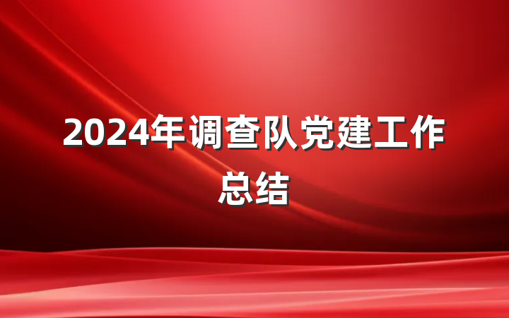 2024年调查队党建工作总结
