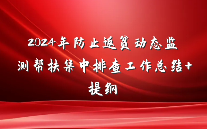 2024年防止返贫动态监测帮扶集中排查工作总结 提纲