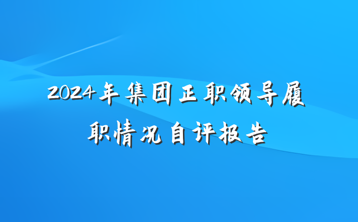 2024年集团正职领导履职情况自评报告