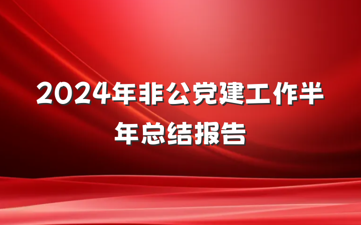 2024年非公党建工作半年总结报告