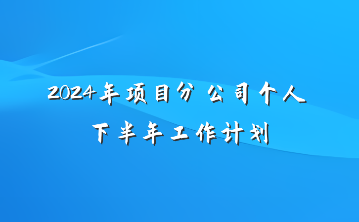 2024年项目分公司个人下半年工作计划
