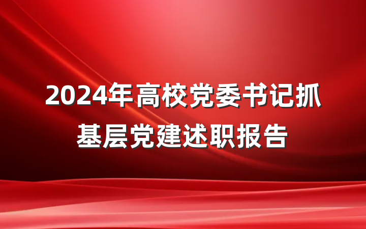 2024年高校党委书记抓基层党建述职报告