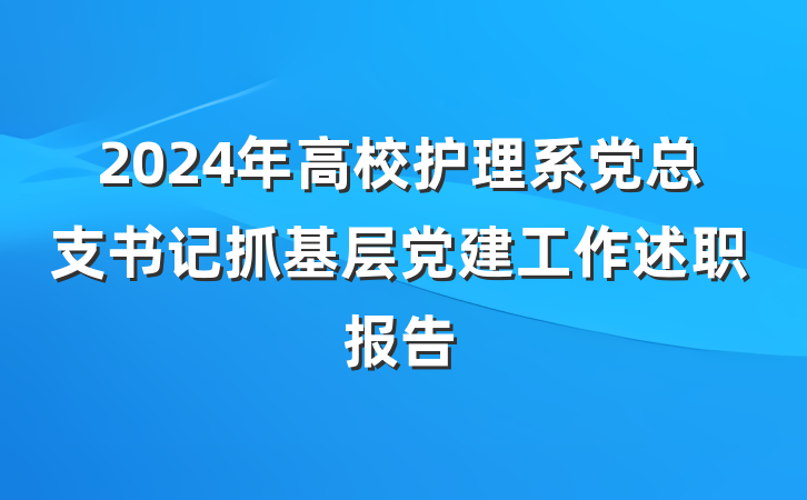2024年高校护理系党总支书记抓基层党建工作述职报告