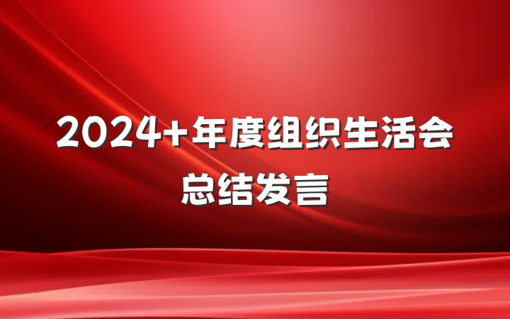 2024 年度组织生活会总结发言