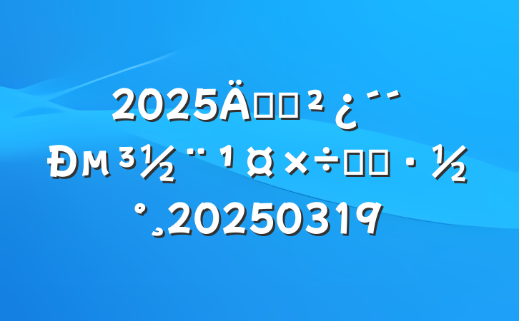 2025굳֧µʵʩ20250319