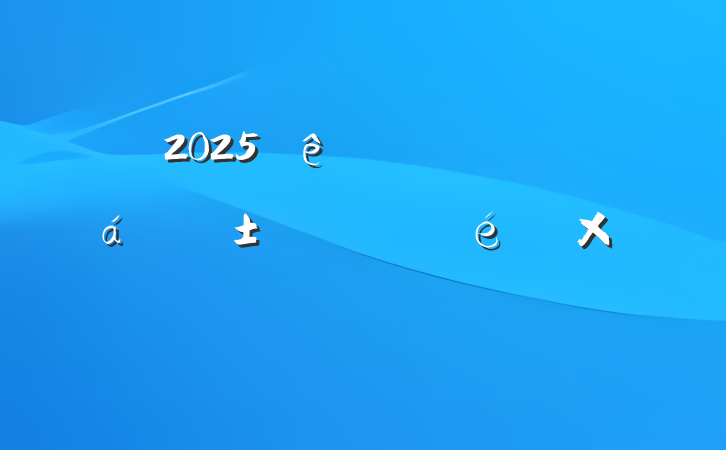 2025ϰꡰһΡƶʵܽᱨ