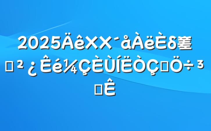2025XXδ嵳֧ʽִ