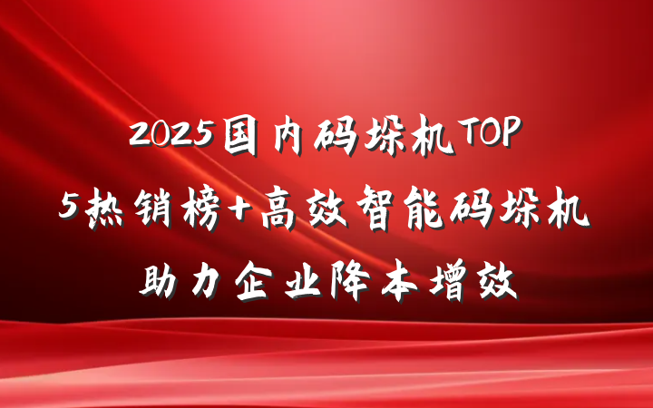 2025国内码垛机TOP5热销榜 高效智能码垛机助力企业降本增效