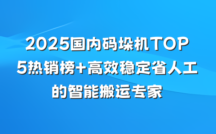 2025国内码垛机TOP5热销榜 高效稳定省人工的智能搬运专家