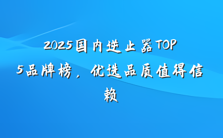 2025国内逆止器TOP5品牌榜,优选品质值得信赖