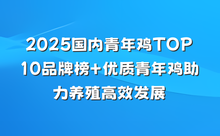 2025国内青年鸡TOP10品牌榜 优质青年鸡助力养殖高效发展